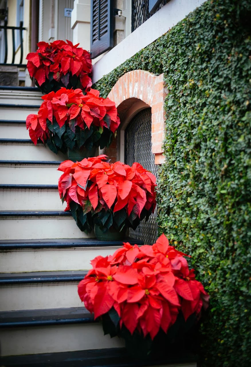 15 Sensational Christmas Front Door Decor With Lovely Red Poinsettias