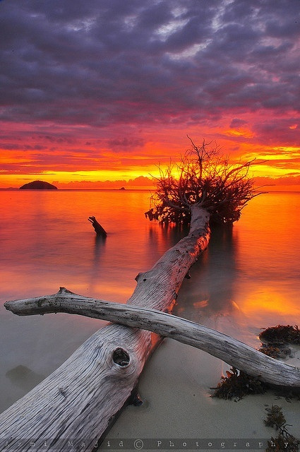 Borneo, Sabah, Malaysia