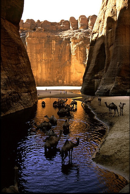 Camel Canyon, Chad