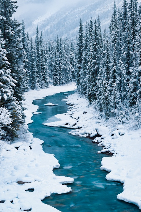 North Saskatchewan River, Banff National Park, Alberta, Canada