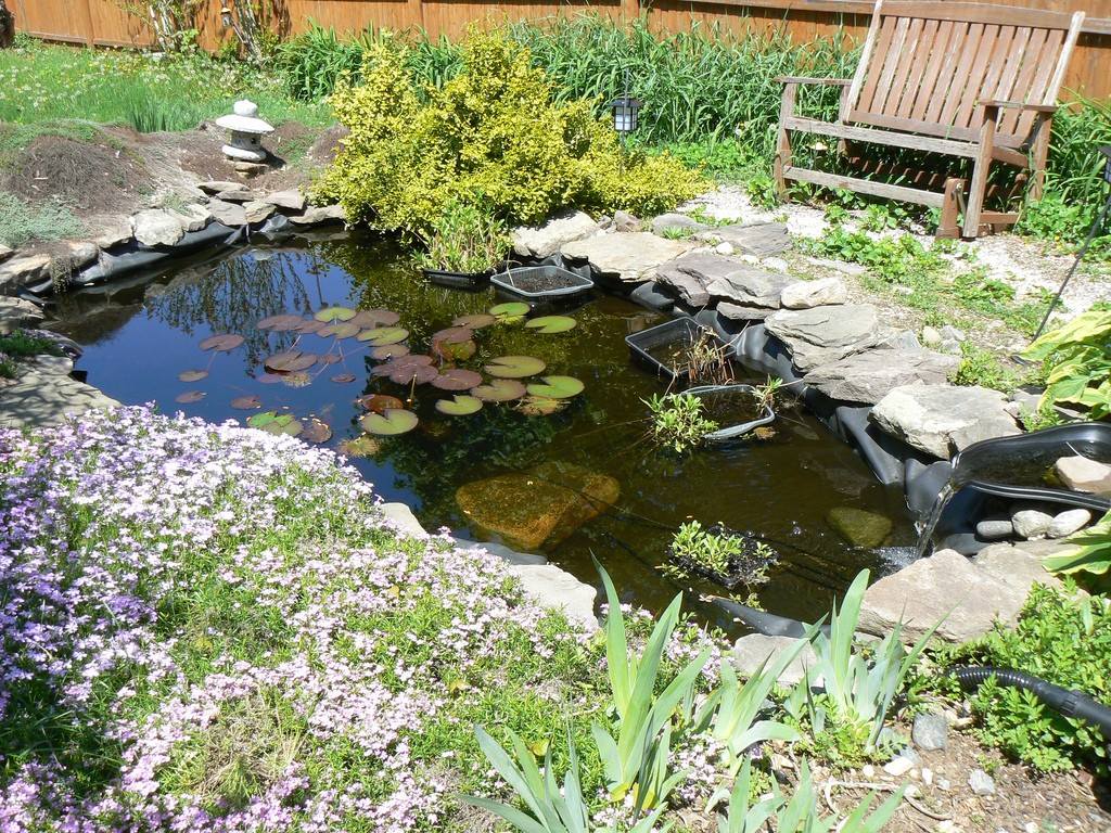 Small-Pond-Design-Backyards-to-Get-Fabulous-Garden-Design-Ideas ...