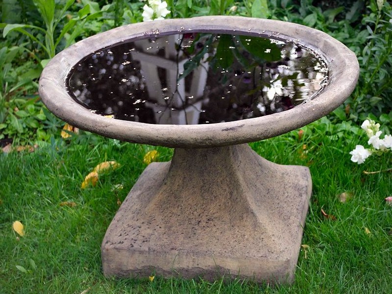 Outdoor Bird Bath Bowl at Roberta Riggs blog