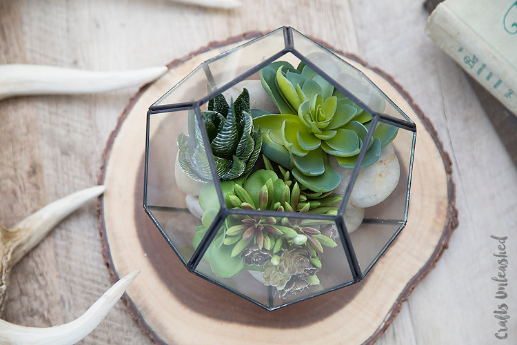 12 DIY Terrarium That Looks Awesome – Fantastic Viewpoint