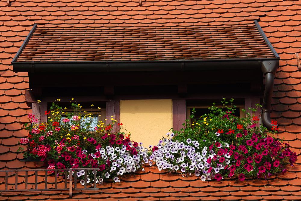 15 Inspiring Window Flower Boxes For Wishing You Good Morning 